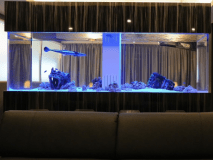 （エグゼクティブ706）