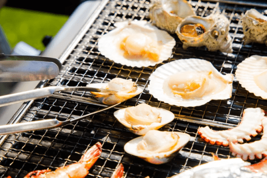 ＜ベストレート保証＞【日帰り】～南紀白浜贅沢日帰りBBQを堪能～