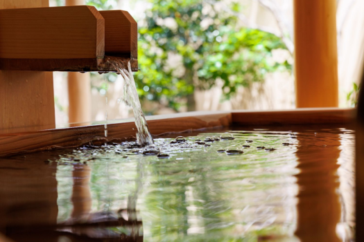 "Hagi"Japanese-style room with open-air hot spring bath (non-smoking) "Hagi"Japanese-style room with open-air hot spring bath (non-smoking)