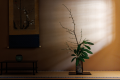 "Kiku"Japanese-style room with open-air hot spring bath (non-smoking) "Kiku"Japanese-style room with open-air hot spring bath (non-smoking)