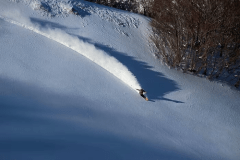 【ホワイトバレースキー場リフト券付】温泉とスキーで休日！