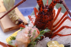 伊勢海老のお造り