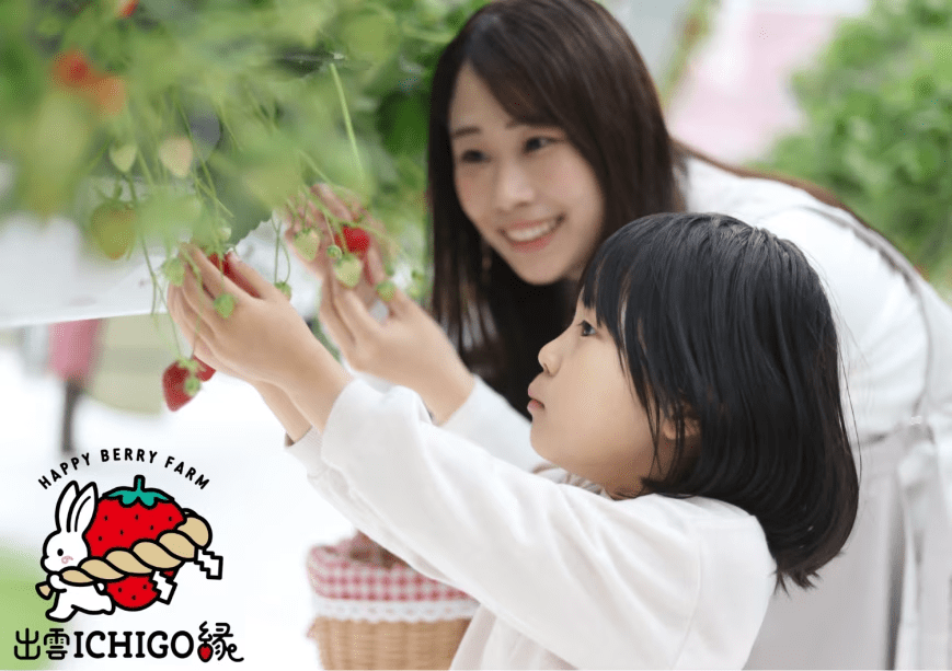 出雲ichigo縁でのいちご狩り体験プラン☆カップルや家族、グループ利用でもおすすめ☆彡