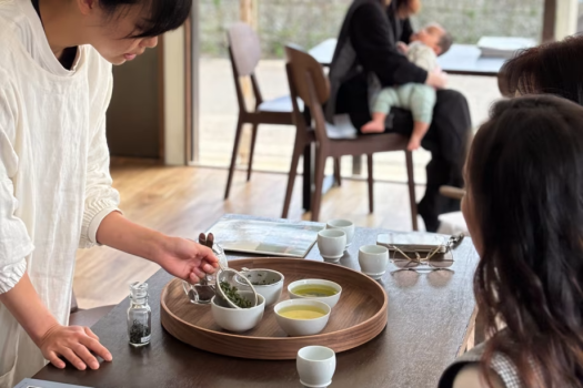 癒やしの鹿児島茶体験
