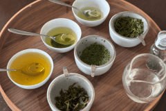 癒やしの鹿児島茶体験（写真はイメージ）