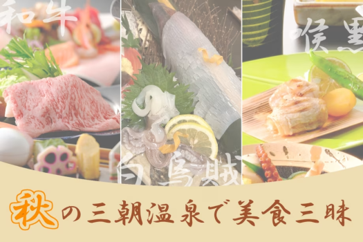 【秋の三朝温泉で美食三昧】白イカの姿造り付き♪旬を越えて愉しめる特別な一品！移りゆく季節の食を愉しむ三朝温泉旅