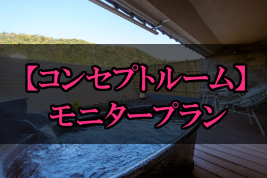 【お日にち限定★お得なモニタープラン】「コンセプトルーム」で夏の疲れを癒す特別なひととき♪夕食個室♪