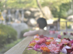 [Basic Plan] A greedy plan to enjoy Tottori Wagyu Beef and genuine snow crab at the same time ♪ Women can enjoy a rose bath hot spring and colorful yukata as a special perk for a fulfilling winter trip to San'in ☆☆☆