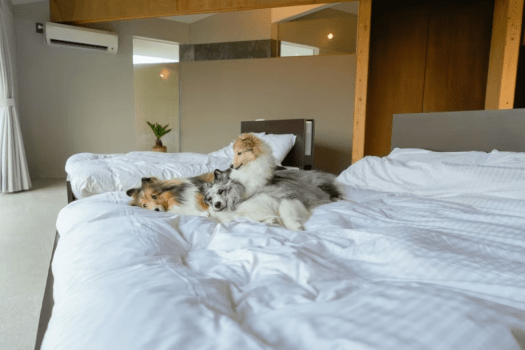 【平日限定】宿泊料20％OFF！～自由に素泊まり・オリジナルステイプラン～