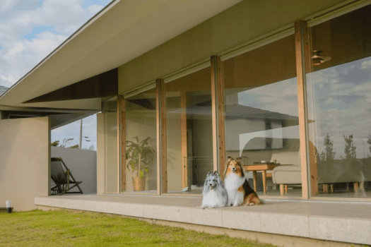 ≪いぬやど会員様限定10％OFF≫【素泊り】＜dog friendly＞九十九里の自然で愛犬と過ごすリゾート旅～黒湯の天然温泉に癒される至福のひとときを～