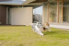 【平日限定】宿泊料20％OFF！～自由に素泊まり・オリジナルステイプラン～