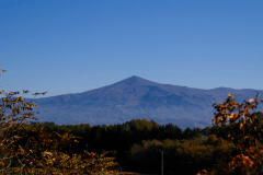 【カップル向け・犬NG】ダブルルーム　※サウナ、BBQ、焚き火不可