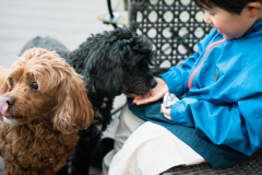 【ファミリー向け・愛犬可】グランピングトレーラーハウス（プライベートサウナ＆水風呂・BBQ器材付き）