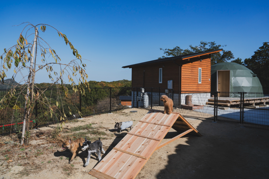 大切な愛犬との思い出づくりを・・・自然の中で味わう本格BBQディナー！わんちゃんの手作りご飯もご用意可能♪