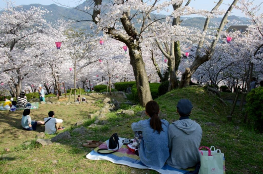 立山公園の春景色