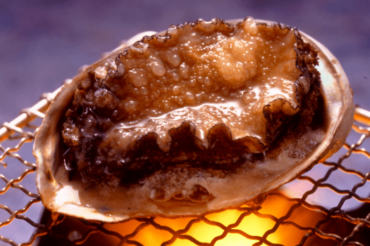 【鮑の踊り焼き】別注になりがちな「鮑の踊り焼き」を通常プランでお楽しみいただいております。