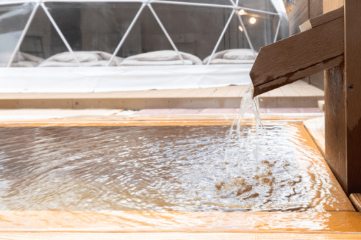 《小学生6年生まで無料🎉✨》栃木の美食と自然を存分に味わうファミリープラン◆1泊2食付き◆