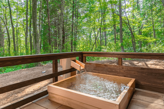 ＜Standard＞■グランピングBBQプラン■全9品。気軽に楽しむご当地豚やご当地鶏でのBBQディナー♪王道BBQを栃木styleで存分にご堪能。【1泊2食付き】