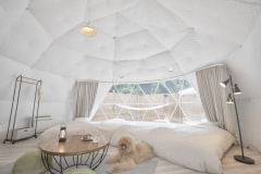 《愛犬同伴OK🐾》ドッグドーム【直径７ｍ】