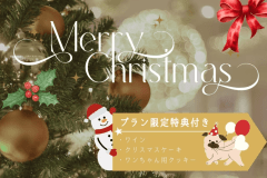 【プラン限定特典付き】ワイン&ケーキで楽しむクリスマス★大切な人や愛犬と過ごす特別なグランピング|1泊2食 【プラン限定特典付き】ワイン&ケーキで楽しむクリスマス★大切な人や愛犬と過ごす特別なグランピング|1泊2食