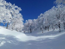 八海山スキー場 八海山スキー場