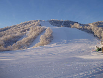 白銀の中を… 白銀の中を…