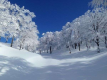 八海山スキー場