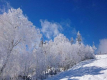 雪景色