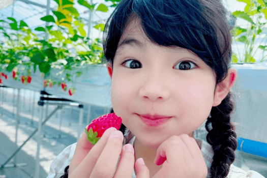 当館で育てた甘～い温泉いちご！
