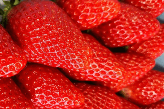 当館で育てた甘～い温泉いちご！