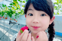 当館で育てた甘～い温泉いちご！