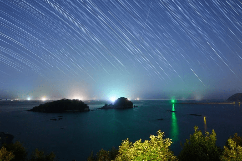 【新春特別SALE】20％OFFの特別価格｜宿毛産海の幸を贅沢に使用した漁師懐石16品＜一泊二食＞