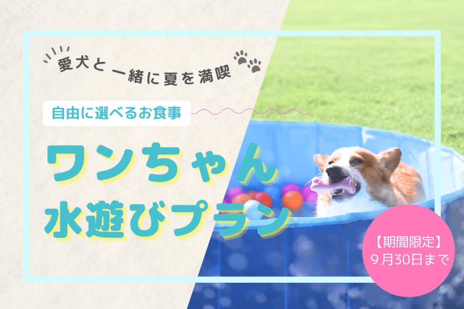 《夏限定》愛犬と&rdquo;水遊び&rdquo;満喫プラン～嬉しい夏の3大特典付き～【素泊まり／選べるお食事】