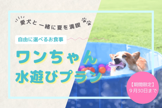 《夏限定》愛犬と&rdquo;水遊び&rdquo;満喫プラン～嬉しい夏の3大特典付き～【素泊まり／選べるお食事】
