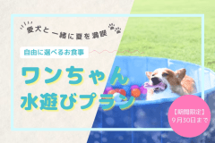 《夏限定》愛犬と&rdquo;水遊び&rdquo;満喫プラン～嬉しい夏の3大特典付き～【素泊まり／選べるお食事】