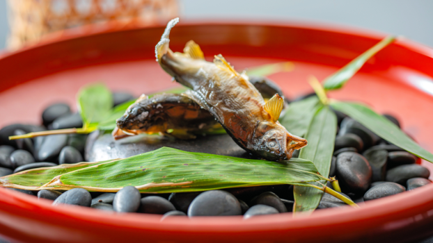 「美味少量」でおなかに優しいお食事を＜上州ブランド赤城牛つき美味少量逸会席＞夕朝食ともに個室食事処