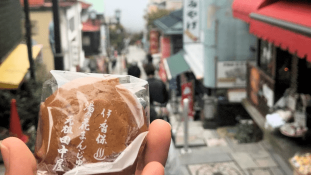 <年末年始12/30~1/3>温泉旅館で迎える晴れやかなお正月、素晴らしい新年を/素泊まり/お食事は街中で <年末年始12/30~1/3>温泉旅館で迎える晴れやかなお正月、素晴らしい新年を/素泊まり/お食事は街中で