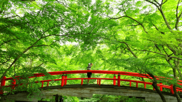 ＜当館最高ランク 上州ブランド赤城和牛つき逸会席／個室食＞プライベート温泉と美食が叶う贅沢な大人時間