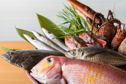 【新鮮･厳選･本物地魚】毎日、毎朝、地元漁港から新鮮な地魚を仕入れています。