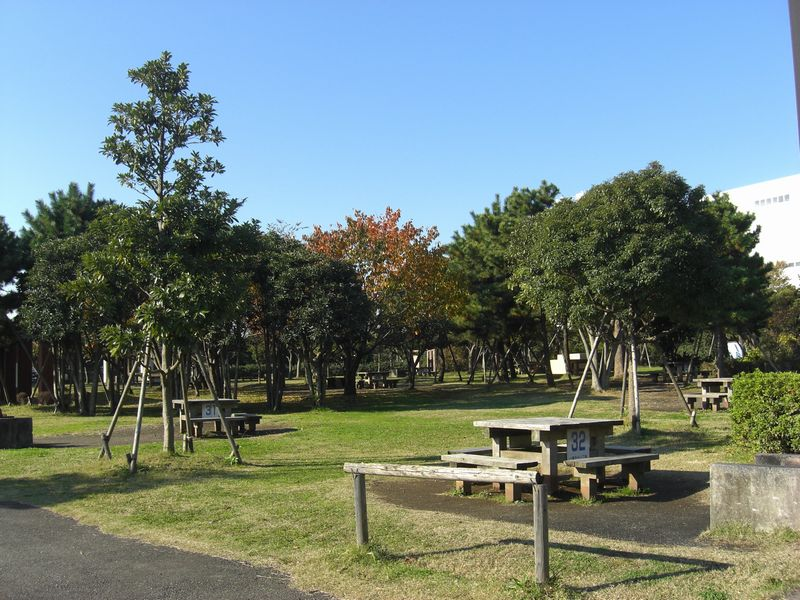 第一キャンプ場＿宿泊プラン[朝10時チェックアウト]