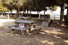 第二キャンプ場