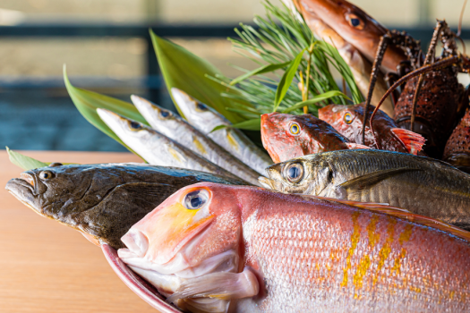 【新鮮･厳選･本物地魚】毎日、毎朝、地元漁港から新鮮な地魚を仕入れています。