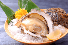 【岩ガキ】夏が旬の岩ガキはサイズだけでなく旨みも格別です。