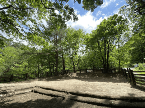 炊事場トイレから距離がある分プライベート感あり！