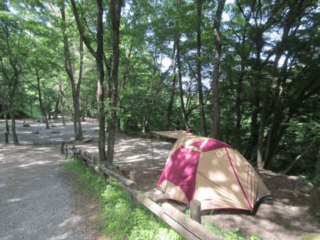 【1月特別 テント泊】17日（土）or 24日（土）専用プラン（前泊無料）