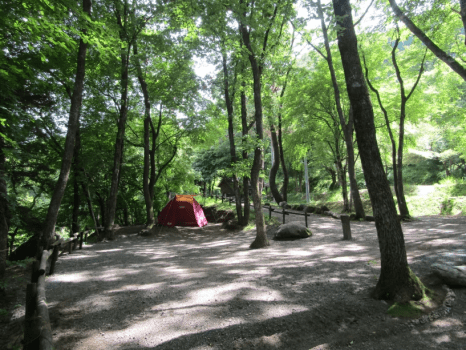 【1月特別 テント泊】17日（土）or 24日（土）専用プラン（前泊無料）