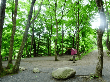 【1月特別 テント泊】17日（土）or 24日（土）専用プラン（前泊無料）