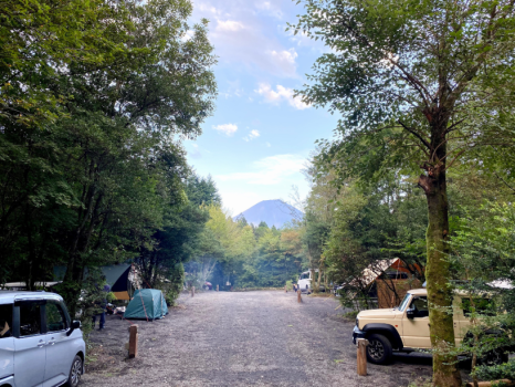 場内からは、富士山が少し見えます。