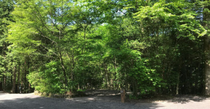 ソロ専用！木に囲まれてプライベート感あり！プライベートサイト