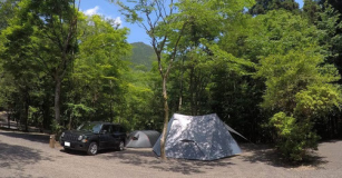 広くのんびりキャンプ！のんびりサイト